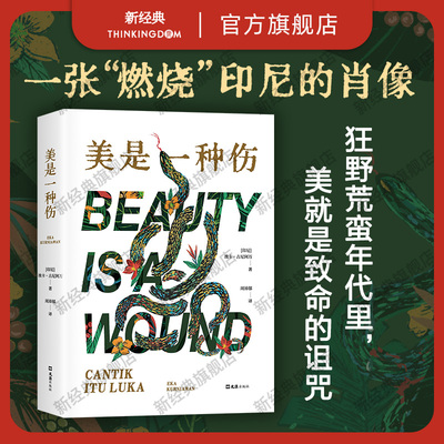 新经典图书美是一种伤