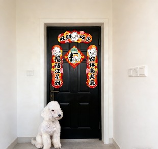 DODO宠物对联 贝灵顿 刚毛 苏梗