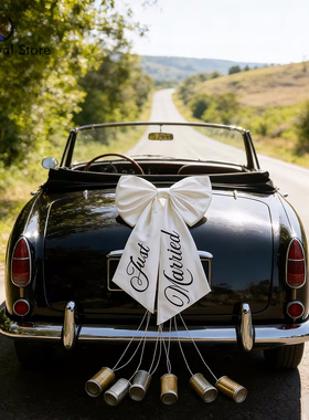 Just Married Car Bow Proposal  Car Ribbon  Bridal Shower