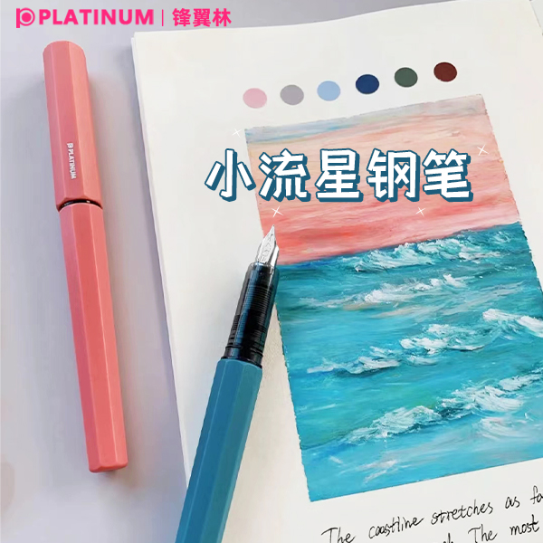 小流星钢笔白金PQ-200三年级练字