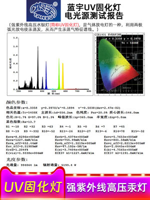 蓝宇牌UV固化灯 强紫外线高压汞灯管水银油墨大功率机光胶113KW