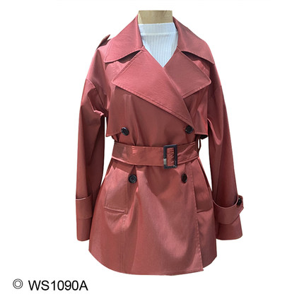 【金鱼粉丝专享】WS1090A