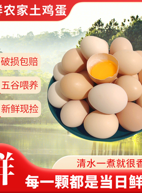云依禾农庄农家散养鲜鸡蛋4枚*50g/枚