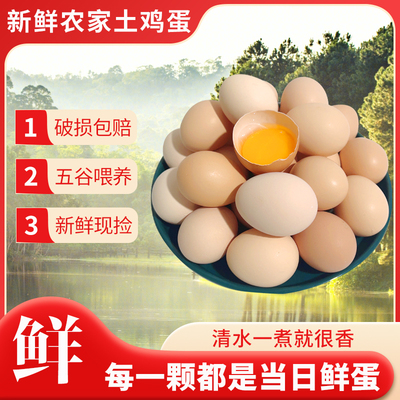 云依禾农庄农家散养鲜鸡蛋4枚*50g/枚
