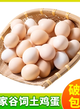 云依禾农庄新鲜鸡蛋柴鸡蛋农家散养土鸡蛋X