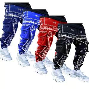 plus size Clothes Mens Trousers Cargo pants for men Haren 24