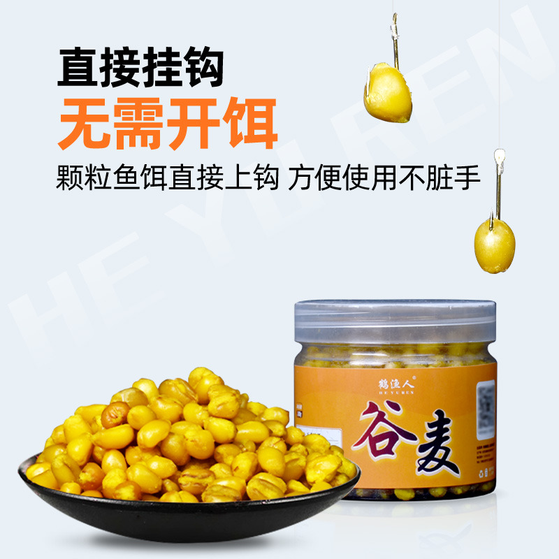 谷麦钓饵料钓鱼窝料发酵麦粒
