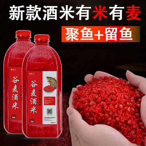 酒米打窝米野钓鲫鱼鲤鱼