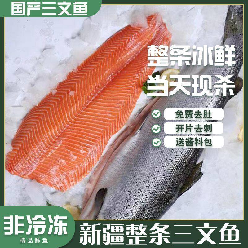 新疆国产虹鳟三文鱼冰鲜刺身
