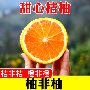 福建正宗甜桔柚甜心柚新鲜水果会昌甜橘柚孕妇黄金柚包邮