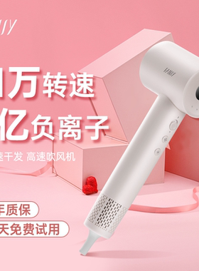 FANSY/飞美丝家用电吹风高速吹风机负离子大风力不伤发防噪音F5