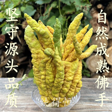 纯得恒深山采摘佛手五指橘佛手柑五指香橼蜜罗柑福寿橘九瓜木干片