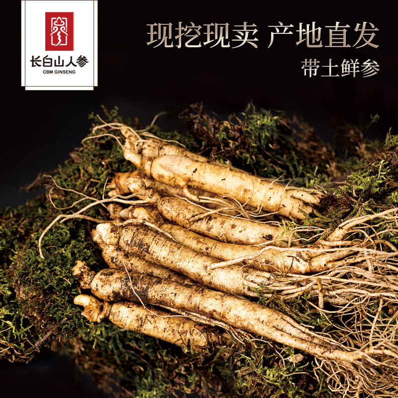 【秒杀直降】长白山人参带土鲜参现挖人参10大根产地直发煲汤泡酒
