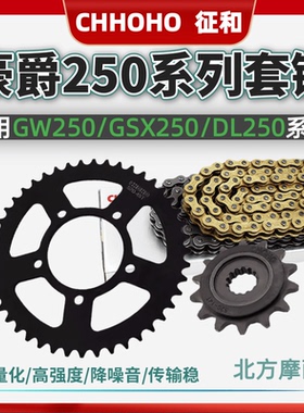 适用豪爵铃木DL250/GSX250/GW250二代降噪牙盘链轮油封套链三件套