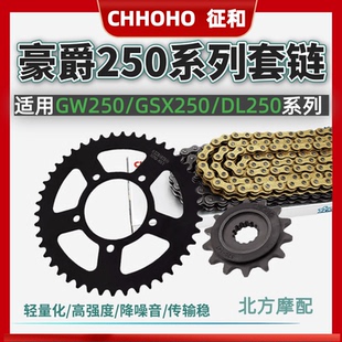铃木骊驰GW250  GSX250R DL250牙盘征和链盘大小静音油封链条套链