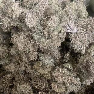 云南树花菜树胡子龙须菜青树花特色凉拌野菜农夫深山采摘包邮