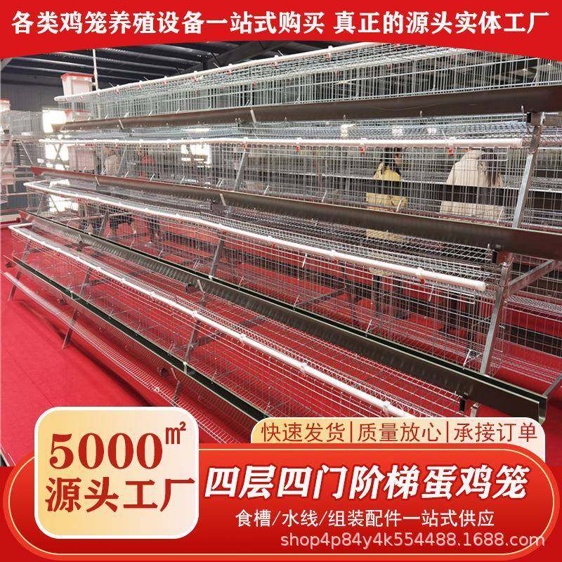 阶梯蛋鸡笼A型四层四门加粗蛋鸡笼阶梯式养殖笼具镀锌工艺养殖设,畜牧/养殖物资,特种养殖设备,淘宝优惠券,粉丝福利购,淘宝优惠卷
