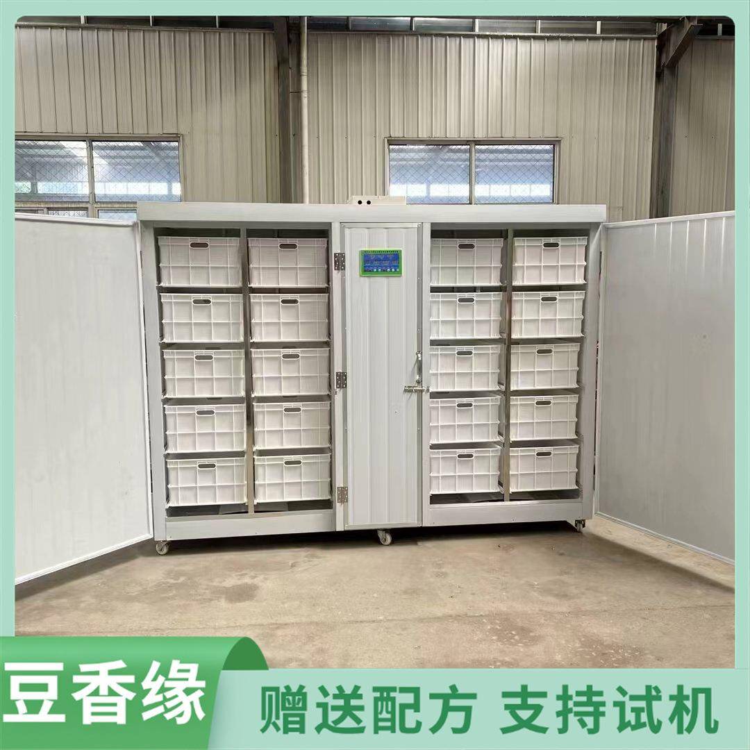 全自动豆芽机100型价格生豆芽机一机多用购机免费包教技术