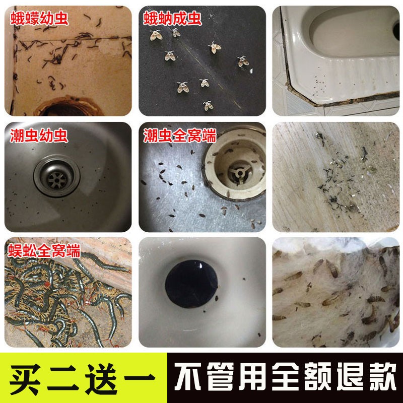 厕所卫生间下水道杀虫神器厨房蛾蚋除虫剂潮虫药家用全窝端小飞虫