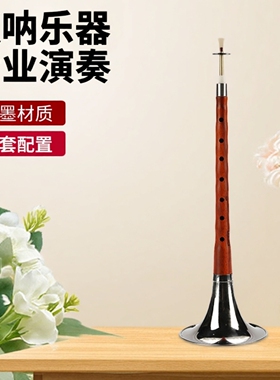 相思鸟唢呐乐器D调红花梨初学者乌木演奏专业全套喇叭民族乐器降b