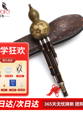 相思鸟葫芦丝C调防摔降B调成人学生专业演奏胡芦丝少儿初学者乐器