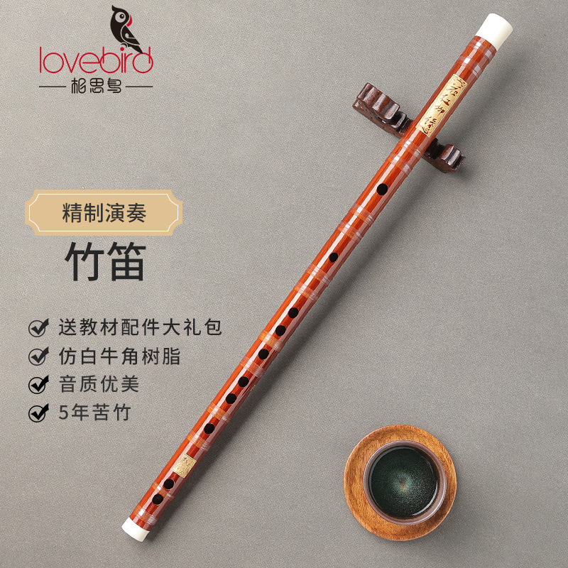 相思鸟竹笛初学者成人入门