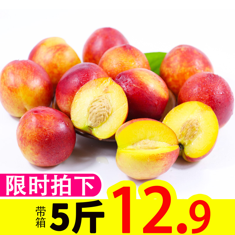 黄心油桃现货5斤新鲜水果应当季孕妇现摘脆甜大桃子整箱非水蜜桃