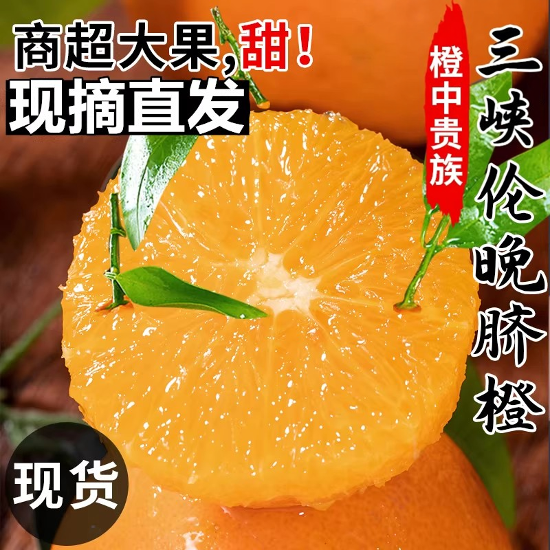 湖北宜昌秭归伦晚脐橙当季应季新鲜水果大果甜橙现摘直发现货春橙