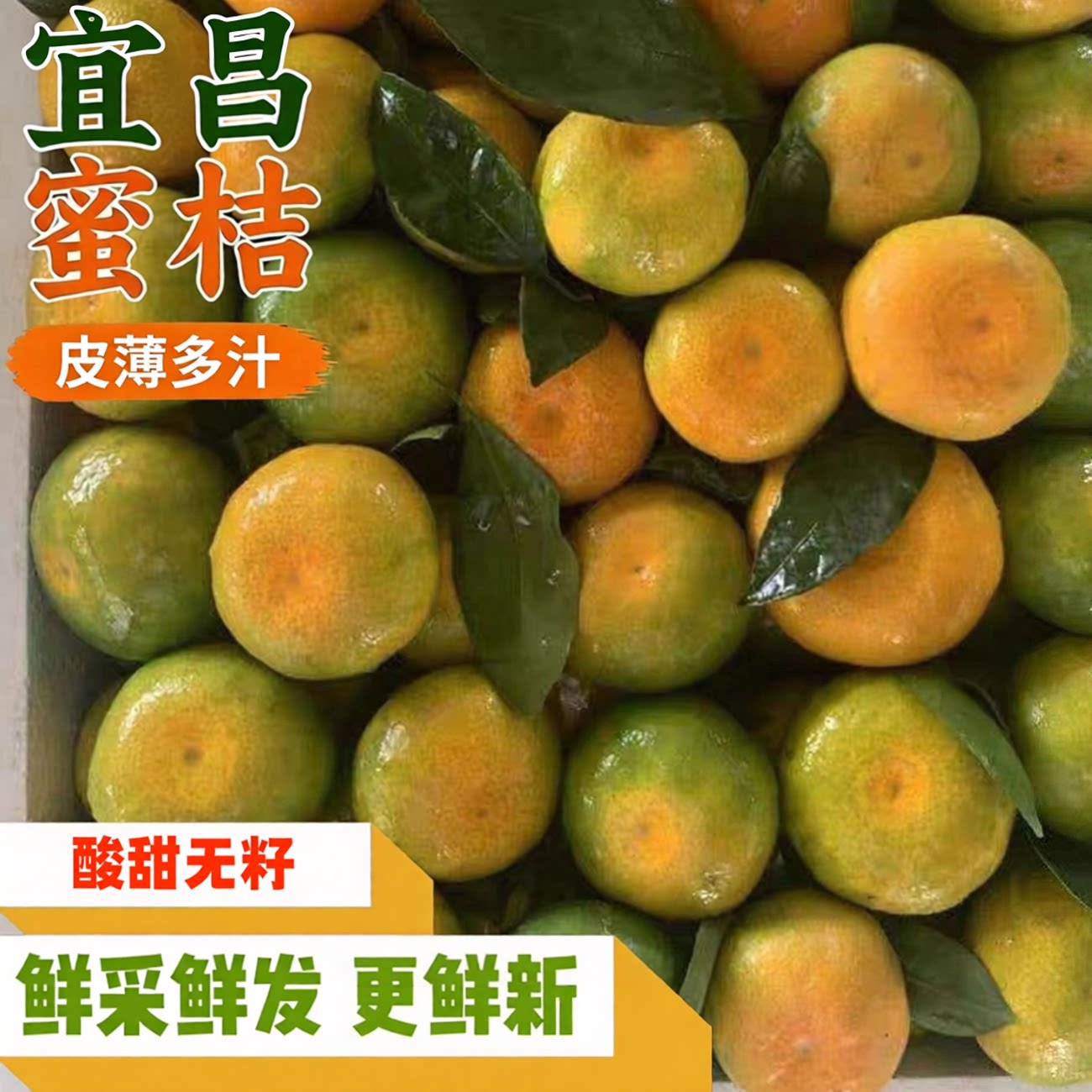 宜昌蜜橘桔子9斤早熟无籽新鲜橘子孕妇水果整箱包邮当季青皮柑橘