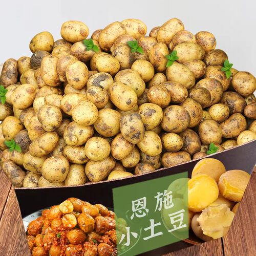 湖北恩施黄心迷你小土豆新鲜现挖老品种洋芋小时候味道马铃薯蔬菜