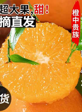 湖北宜昌秭归伦晚脐橙当季应季新鲜水果大果甜橙现摘直发现货春橙
