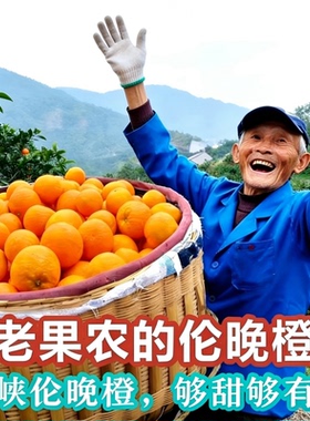 正宗伦晚脐橙甜橙秭归手剥春橙湖北宜昌现摘新鲜橙子孕妇当季水果