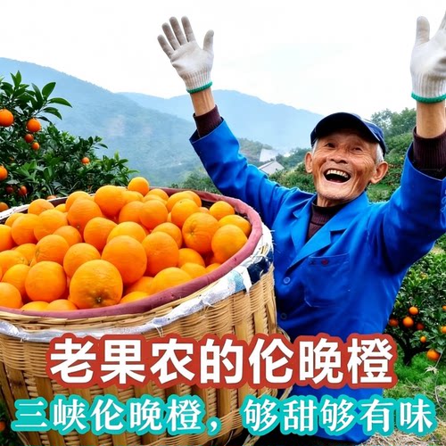 湖北宜昌秭归伦晚脐橙