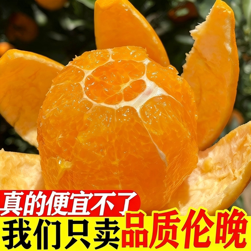 湖北宜昌秭归伦晚脐橙手剥橙果冻甜橙新鲜水果应当季整箱现发春橙