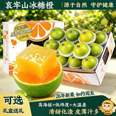 现货正宗云南冰糖橙子哀牢山