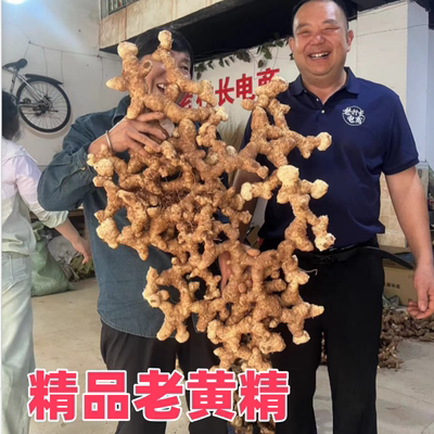 四川新鲜多花五斤中药材正品黄精