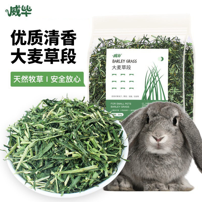 威毕大麦草宠物兔粮成幼兔子饲料侏儒豚鼠荷兰猪粮食幼兔龙猫牧草