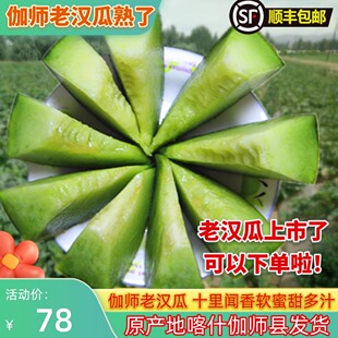 新疆特产老汉瓜柏谢克辛6-14斤伽师瓜新鲜水果孕妇健康果哈密瓜