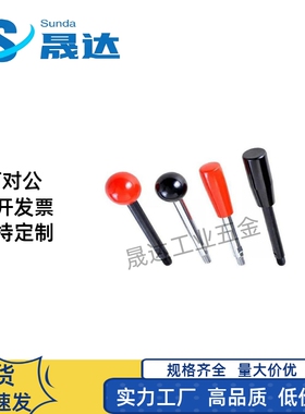 LBGB200球头R握柄B把手C-LBGS8/LBG6/10/12固定63/80-100/125/160