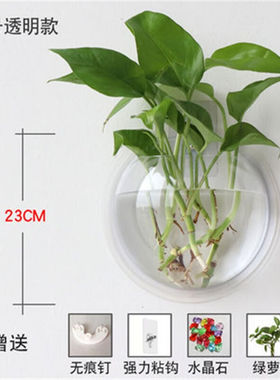 臣埠壁挂水培创意绿萝绿植花盆挂壁贴墙挂墙圆形装饰器皿透明欧式