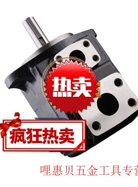 千石定制DENISON液压泵T6CM-B17-3L01-C打包机油泵T6CM-B14-3R00-