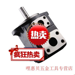 B17 3R00 3L01 B14 C打包机油泵T6CM 千石定制DENISON液压泵T6CM