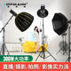 雷普曼 max300W摄影灯直播补光灯演播室访谈影棚拍摄聚 LIPPMANN