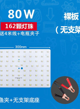 夜市灯地摊灯摆摊专用可照明灯12V伏LED灯泡低压高亮电瓶灯板12v8