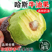 包邮 哈斯牛油果新鲜水果当季 整箱 哈斯孕妇可食用鳄梨一级鳄梨