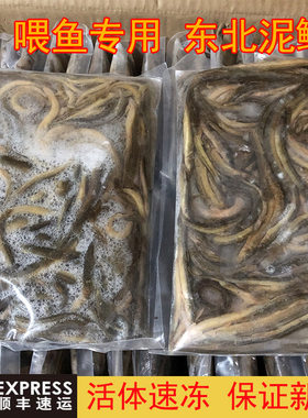 东北泥鳅顺丰发货龙鱼饲料