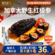 张珍记红极参加拿大海参官方旗舰店即食野生进口正品 鲜活北极红参
