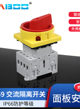 HBAL69 光伏开关防面板安装交流AC隔离开关负载电源40A 63A 80A