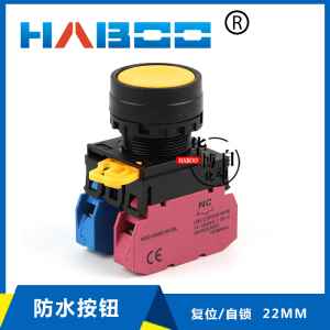 和泉YW1B-M1E/A1E同款复位自锁平头按钮开关防水启动电源开关22MM