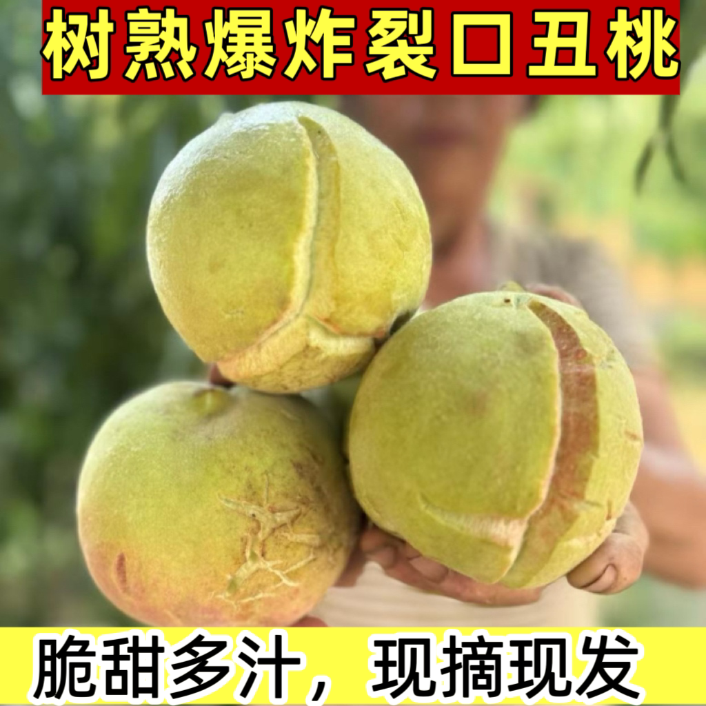 现货山东裂口丑桃脆甜多汁整箱
